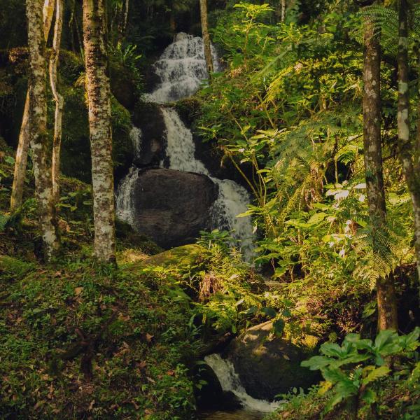 Pousada Toca da Onça - Foto 3