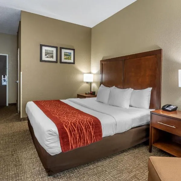 Comfort Inn Kingsport Southeast、キングスポートのホテル
