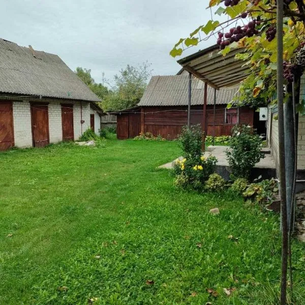 Burshtyn, khách sạn ở Svityazʼ
