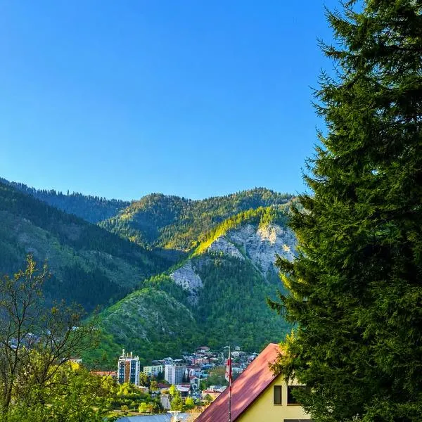 Hotel forest echo, hotel a Borjomi