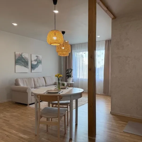 Türi Cozy Apartment、Türiのホテル