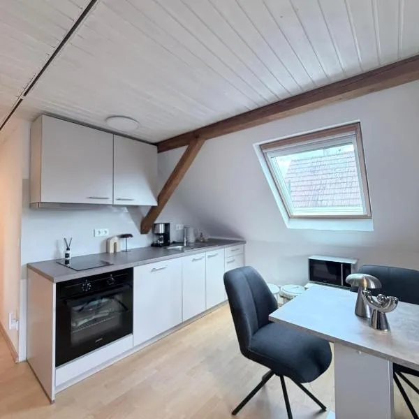 Top-floor apartment for up to 3 guests, hotell sihtkohas Dreieich