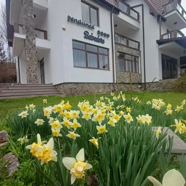 Belvedere GreșuLepșa, hotell sihtkohas Greşu
