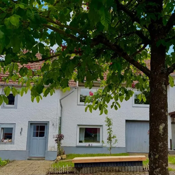 EifelFein, hotel in Niederstadtfeld