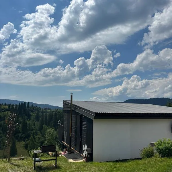 Ecottage котедж для двох у горах із чаном-джакузі: Slavske'de bir otel