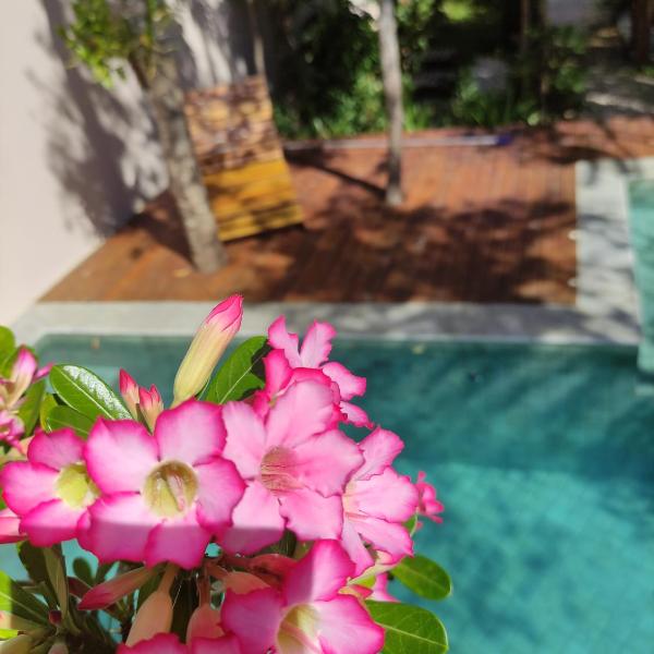 TEMPLÁRIOS ECOVILLA Pousada - Foto 4