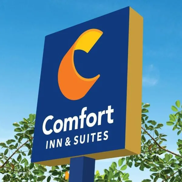 Comfort Inn & Suites Tyler North, Hotel in Tyler
