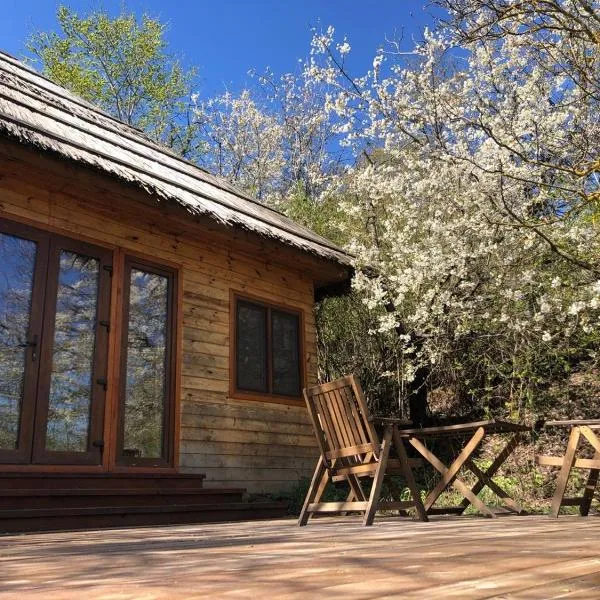 Козацька Фортеця, hotel u gradu Pliskachevka