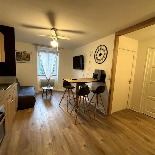 appartement T2 a 2 pas du centre du puy, Hotel in Le Puy-en-Velay