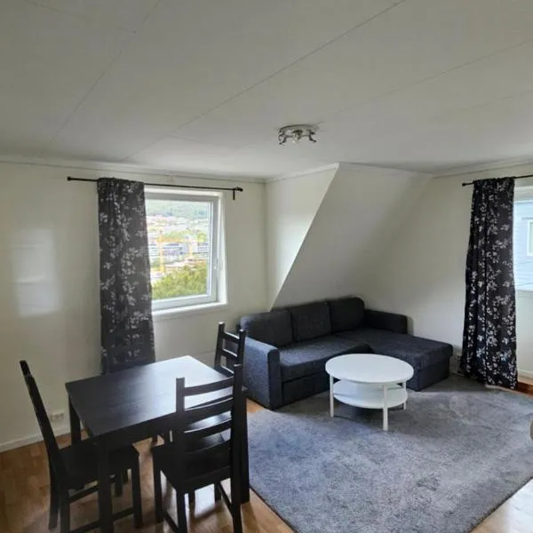 Central, spectacular view, 2 bedroom, free parking, hotel a Bergen