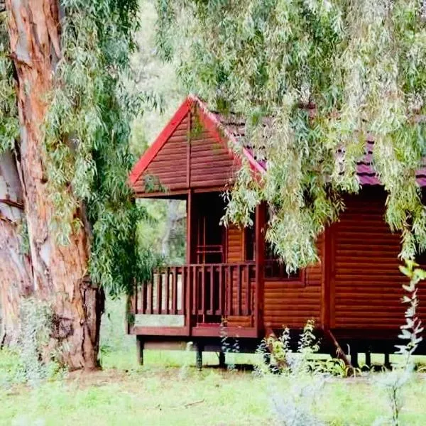 Lake Cabin, Hotel in Olifantshoek