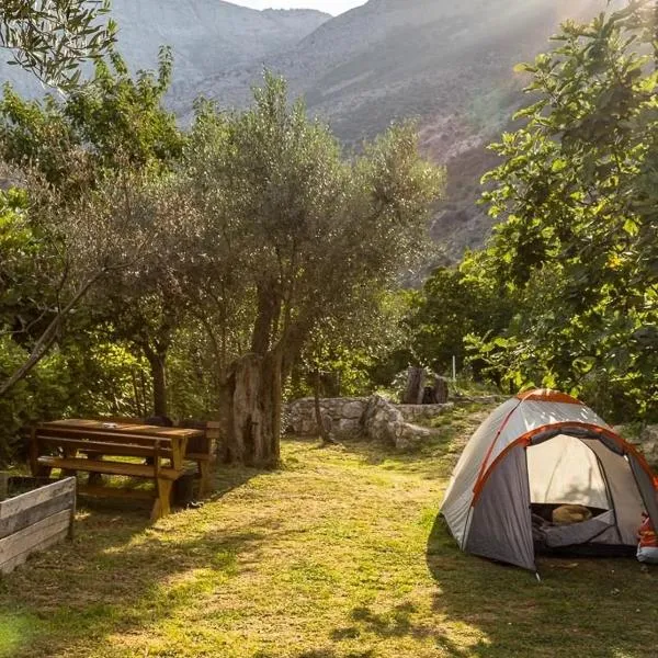 Viesnīca My Olive Garden Camp pilsētā Bara