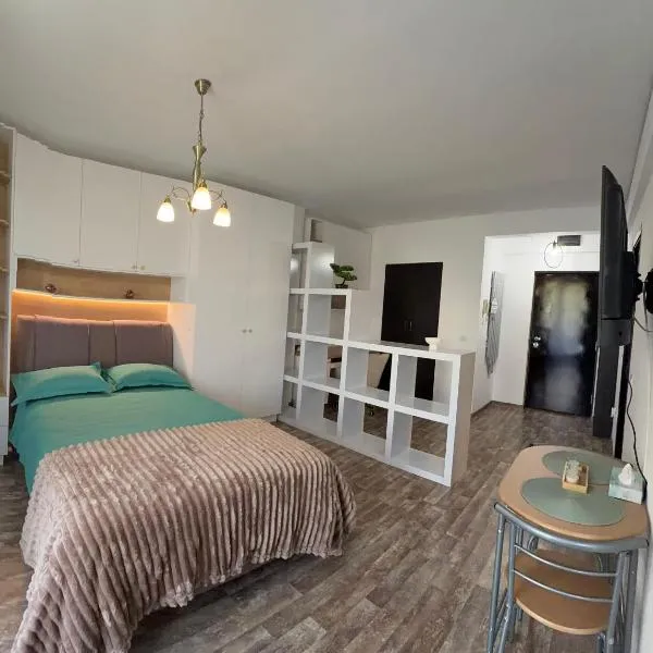 Apartament 1 cameră, ξενοδοχείο στην Τιμισοάρα