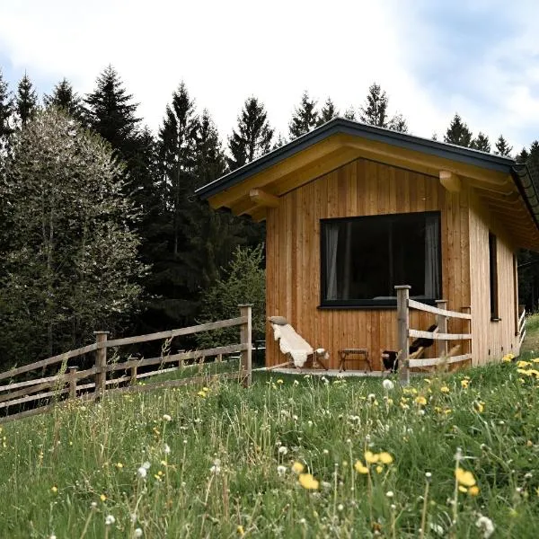 Tiny House Urlaub, hotel i Ybbsitz