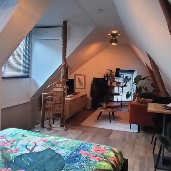 Wellness B&B Hartje Coevorden, Hotel in Coevorden