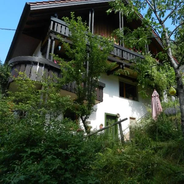 Ferienwohnungen in Schönmünzach, hotel in Baiersbronn