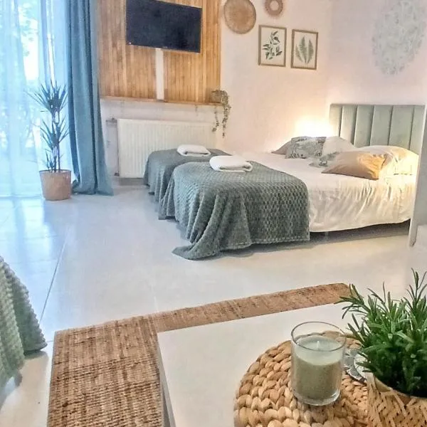 KRK stop near airport, hotell i Cholerzyn
