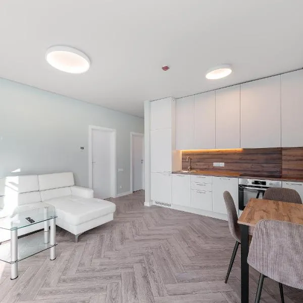Stay at Ramu Du in Vilnius near VNO Self check-in, hotel din Vilnius