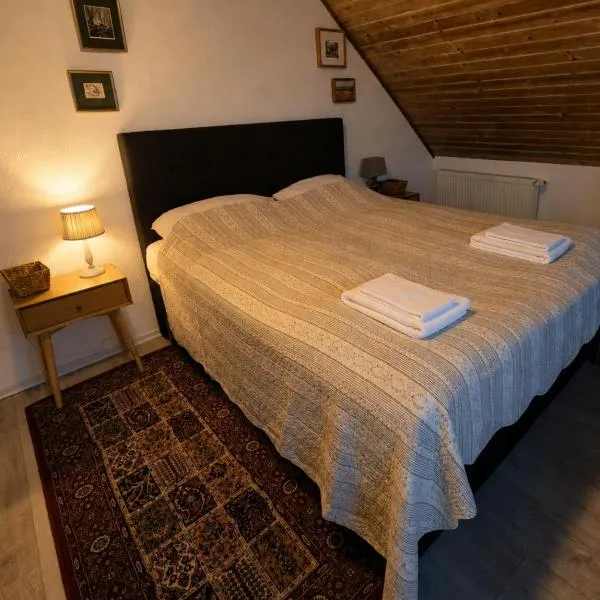 Danmønhus Hygge, מלון בבורה
