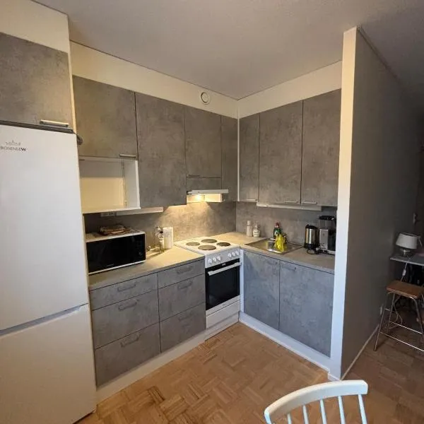 Louhentornin Saunallinen Yksiö, hotel v destinaci Pieksamaki