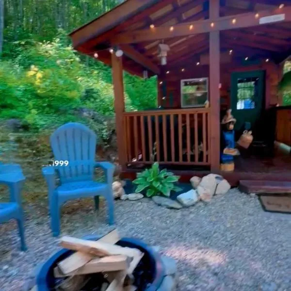 Little Bear Tiny Cabin, hotell i Cosby