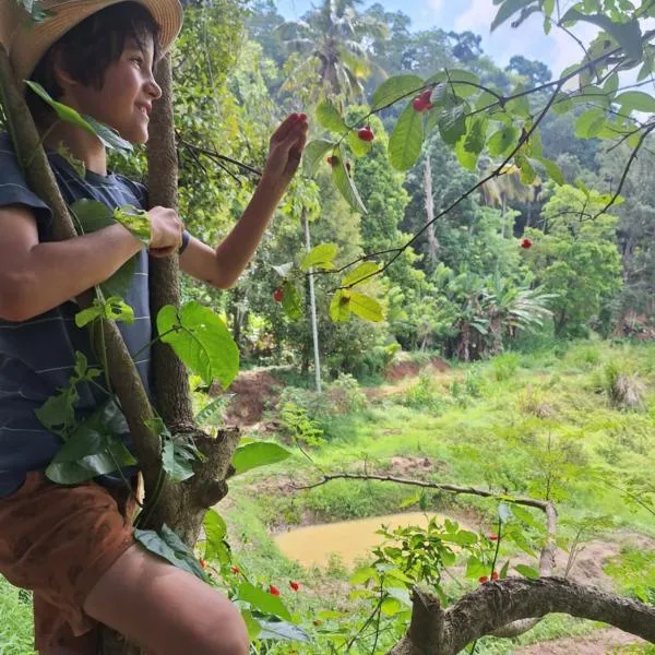 Heritage Haven, hotelli kohteessa Kandy