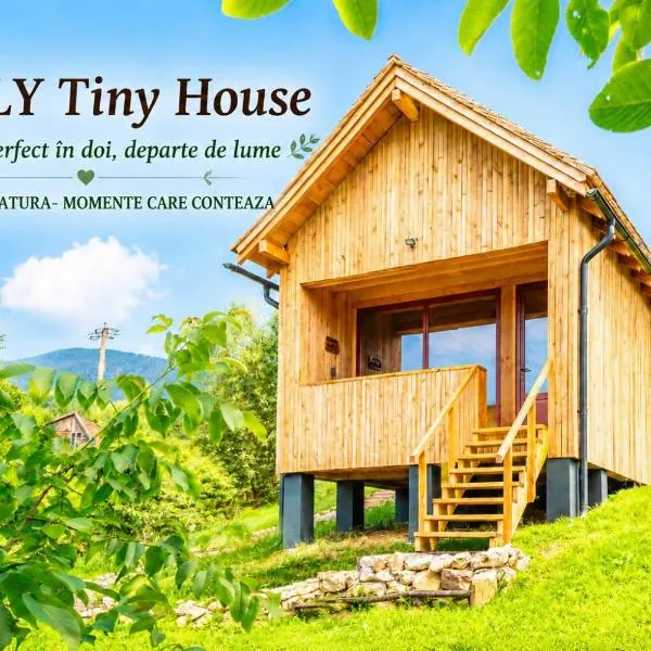 Viesnīca Wezly Tiny House pilsētā Megura