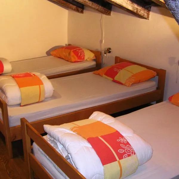 Pliskovica Youth Hostel, hotel in Mali Dol