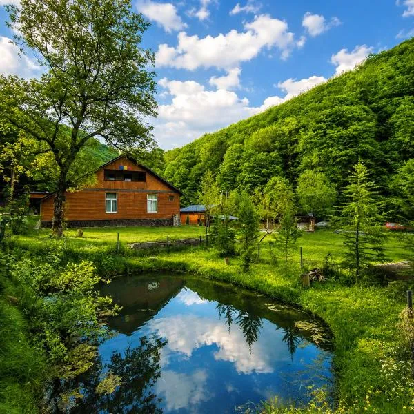 Cabana Tarța din Blidari 1, hotel sa Baia Mare