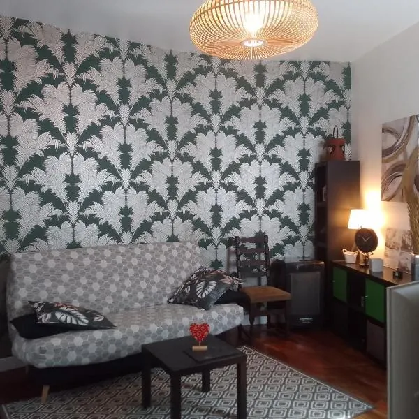 Cosy home centre historique avallon, מלון באבלון