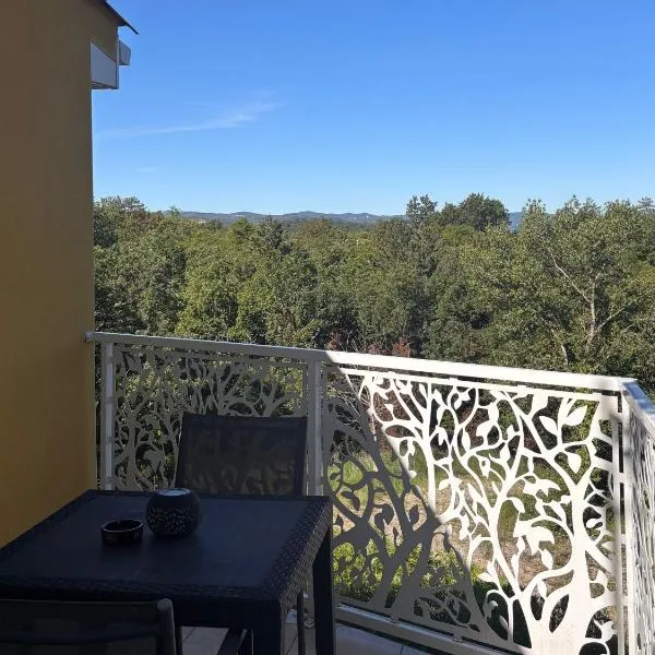 Chambre hotes avec vue panoramique sur la foret, hotel en Digne-les-Bains