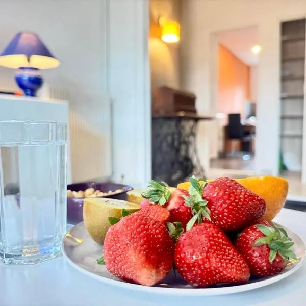 Charming apartment in Albi Free parking، فندق في ألبي