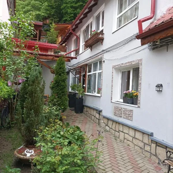 Casa Slanic House, hotel di Slănic-Moldova