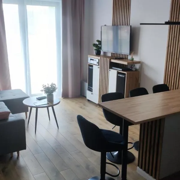 Apartament Bieszczady – hotel w mieście Lesko