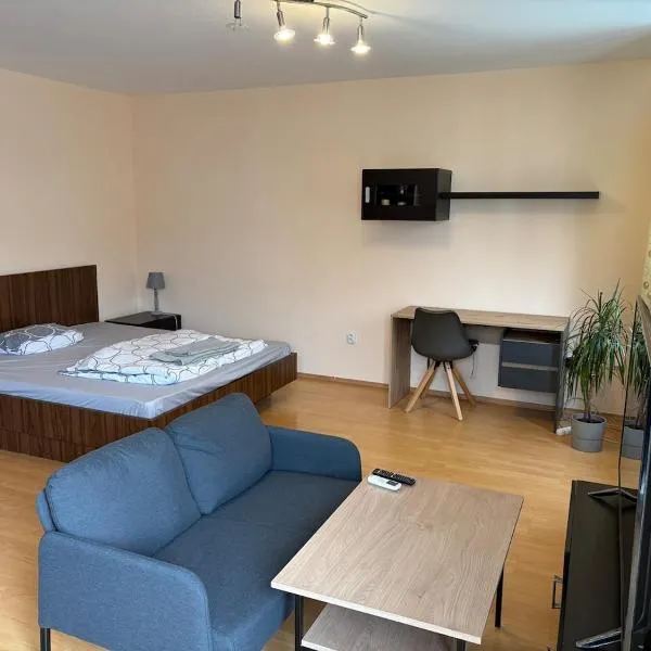 The apartment by the airport, hotel v destinácii Prievoz