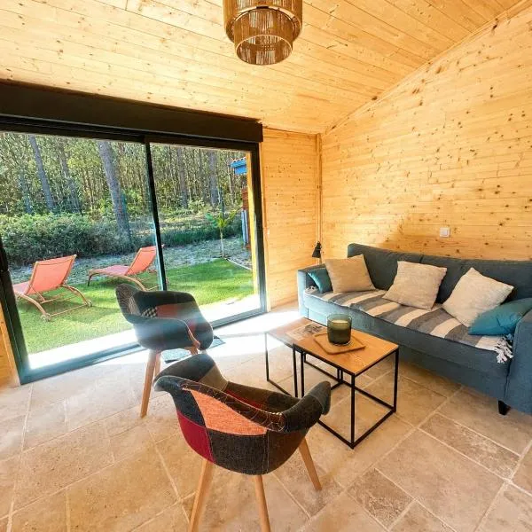 CHALET COSY PROCHE DE MIMIZAN - Accès Piscine chauffée et spa, hotel i Bias
