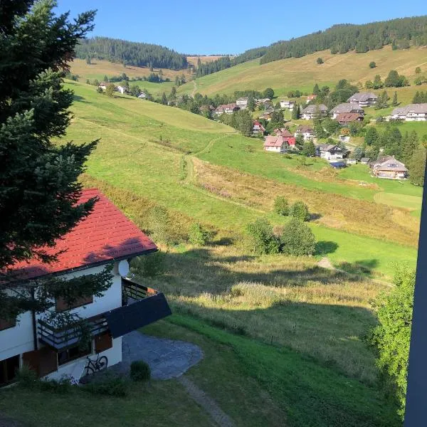 Ferienwohnung Black Forest Hideaway, Hotel in Todtnau