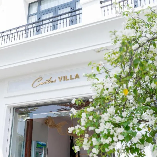 Cactus Villa, Hotel in Dong Hoi