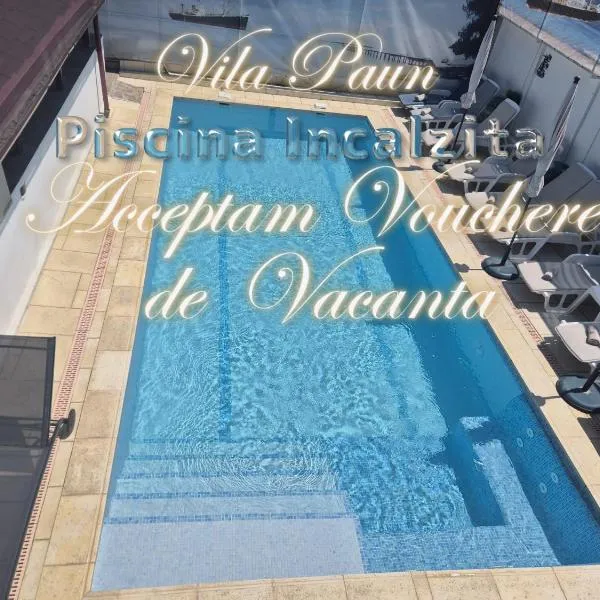 Vila Paun, hotell i Costinesti