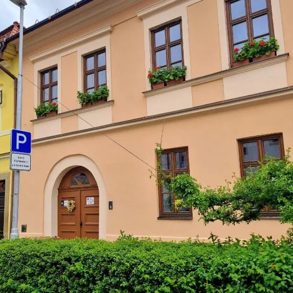 Apartment in a historical house in the center of Levoča, hotell i Levoča