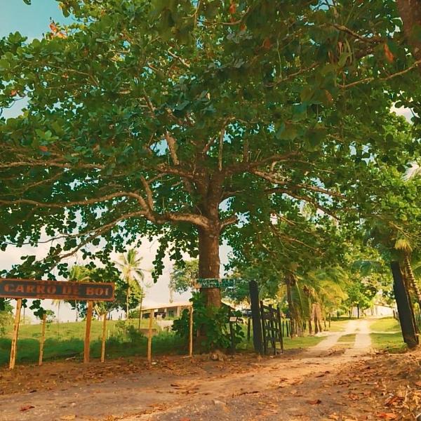 Fazenda carro de boi