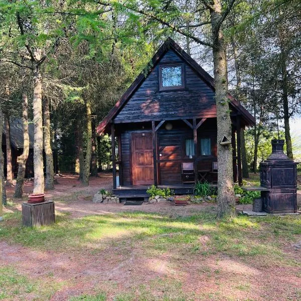 Domki Zacisze Zieleniewo - Kołobrzeg – hotel w mieście Zieleniewo