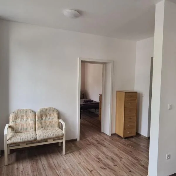 Ferienwohnung in der Nähe von Freizeitpark Plohn, hotell i Rodewisch