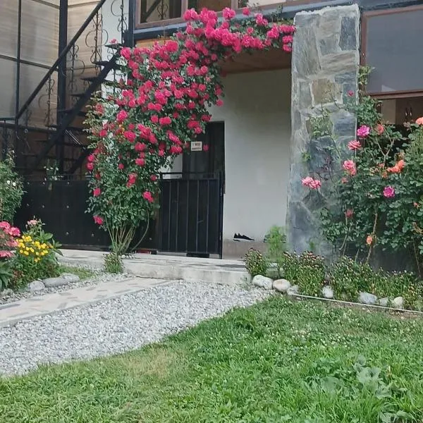 Guest House Nanu, hotel in Mestia