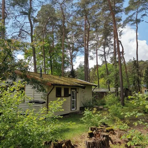Ferienhaus Auszeit, hotelli kohteessa Neustadt am Rübenberge