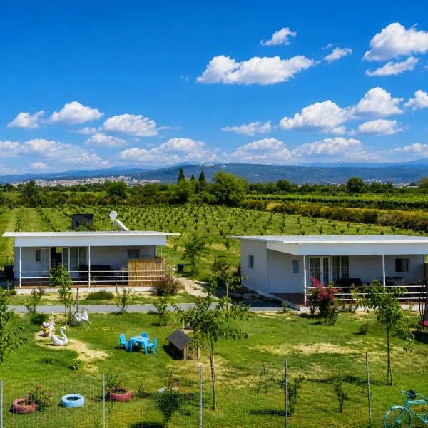 Árta में, होटल Agroktima Arta - Farm Stay