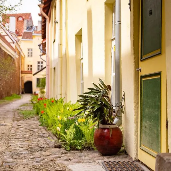 Apartments in a 700-years-old house, hotel u Talinnu