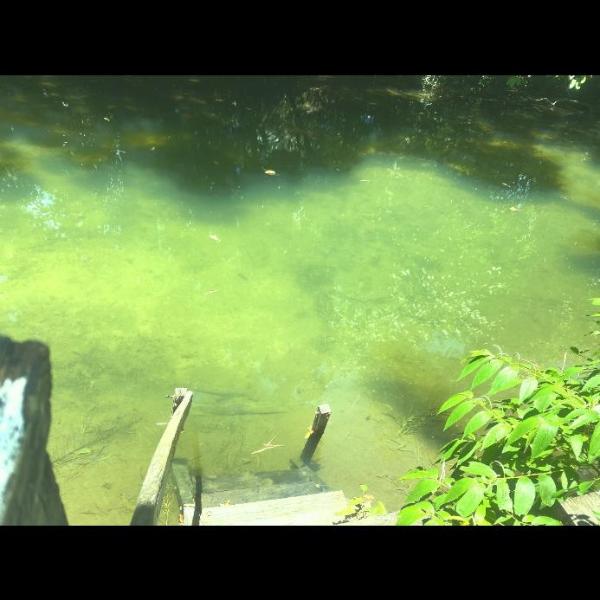Rancho ABA DO BETIONE