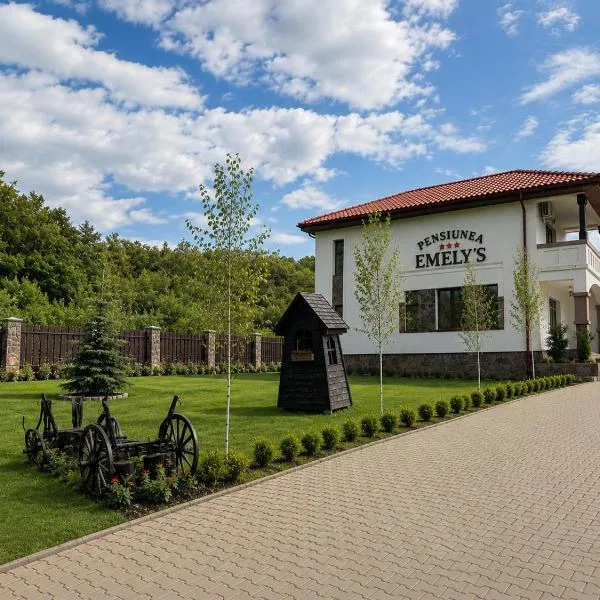 Pensiunea Emelys, Iasi, Hotel in Iaşi