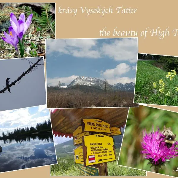 Apartmány Hágy L+L, hotel in Vysoké Tatry